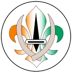 LOGO_DE_LA_FIS-removebg-preview - Copie